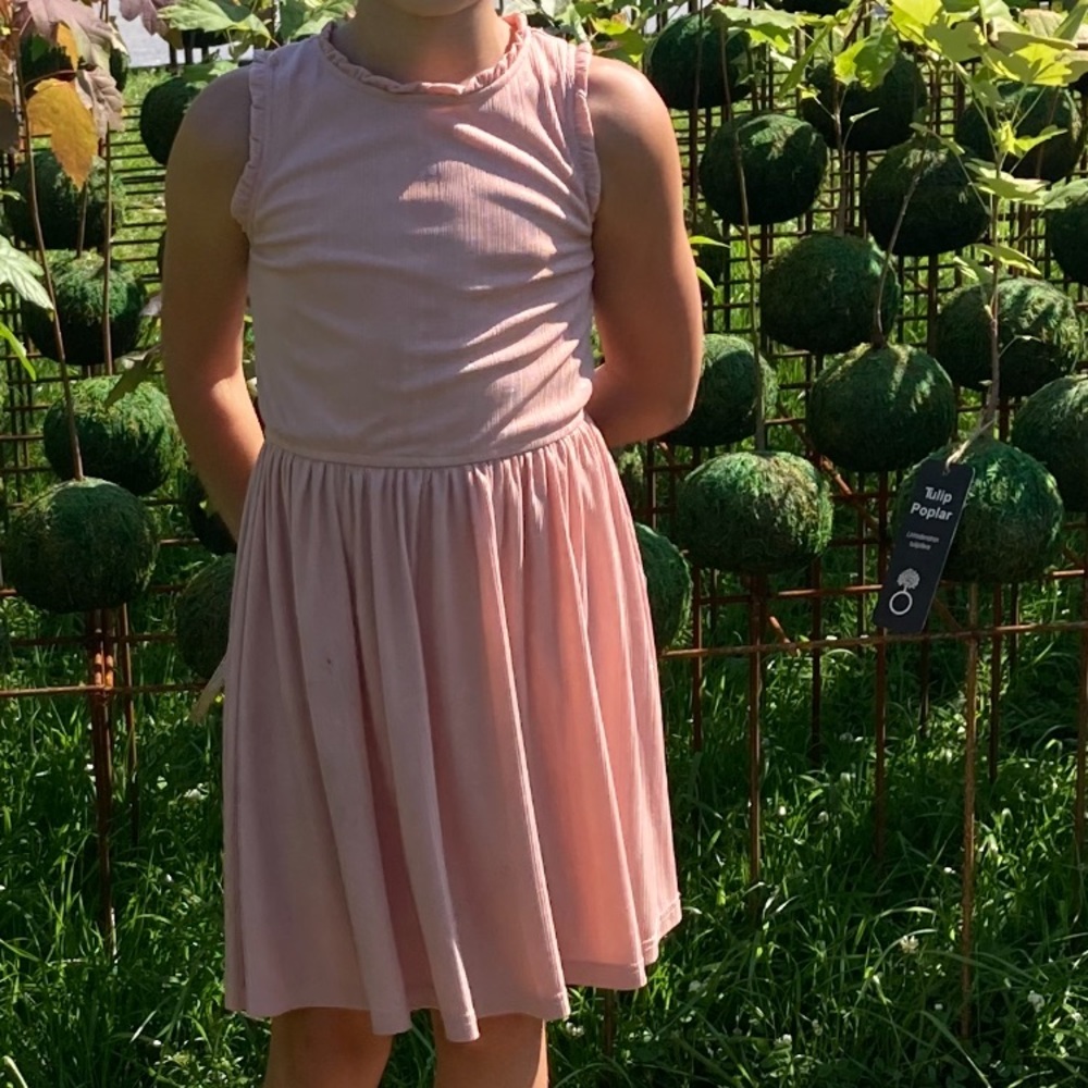 Ava & Yelly Dress